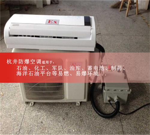 氨水庫多聯式防爆空調案例圖
